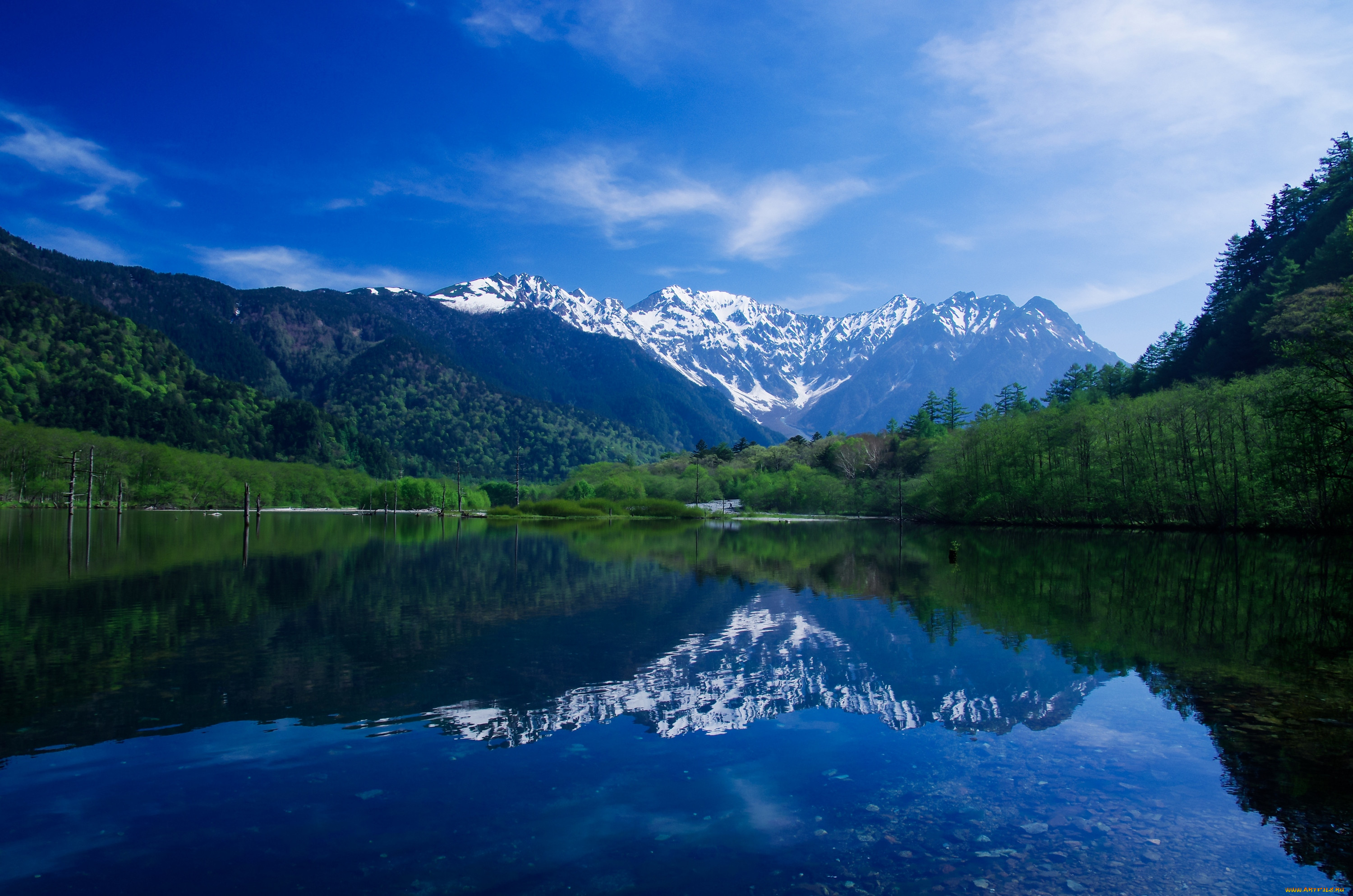 В хорошем каче. Озеро Рица. Абхазия горы лес река. Босния и Герцеговина. Голубое озеро Абхазия.